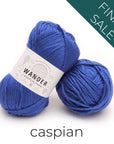 Discontinued Wander Acrylic Yarn Yarn FurlsCrochet Caspian